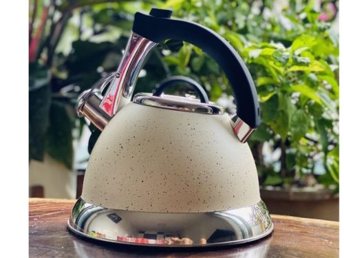 Ấm đun nước tráng men kết hợp inox Faster 3L