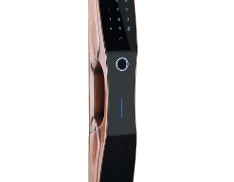 Khóa cửa điện tử Demax SL668