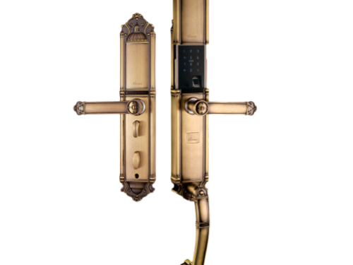 Khóa cửa điện tử Demax SL821 Gold cho đại sảnh - biệt thự