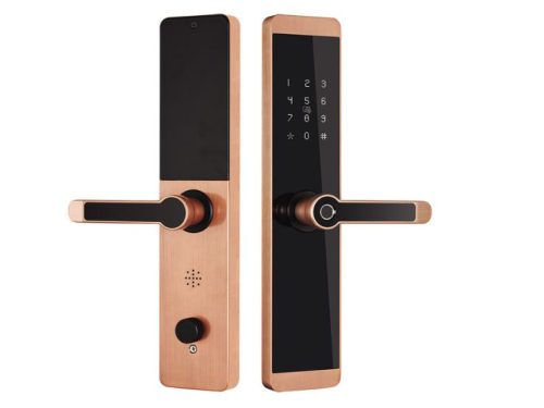 Khóa cửa vân tay Kassler KL-600 App mobi màu đồng