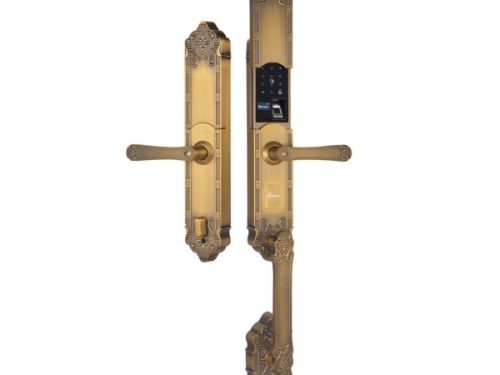 Khóa cửa điện tử đại sảnh - biệt thự Demax SL819 GB - APP WIFI