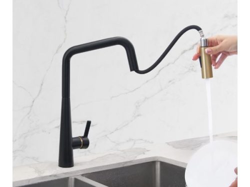 Vòi rửa chén bát Eurogold EUF221DR - có dây rút