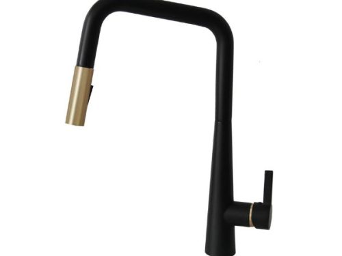 Vòi rửa chén bát Eurogold EUF221DR - có dây rút