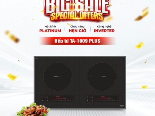 Bếp từ Lorca TA-1009 Plus