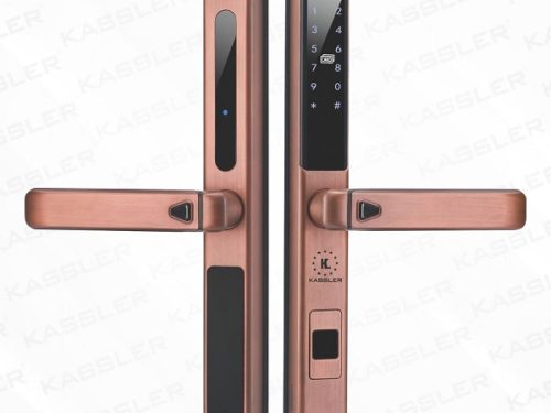 Khóa điện tử Kassler KL-599LX Grey/ Khóa cửa nhôm