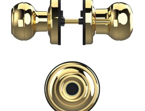 Khóa cửa vân tay Demax SL106 YL