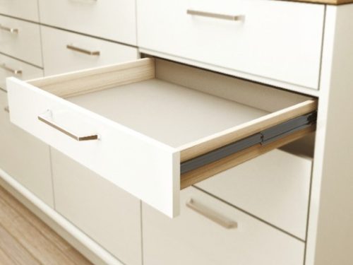 Ray bi giảm chấn 350mm Hafele 494.02.072