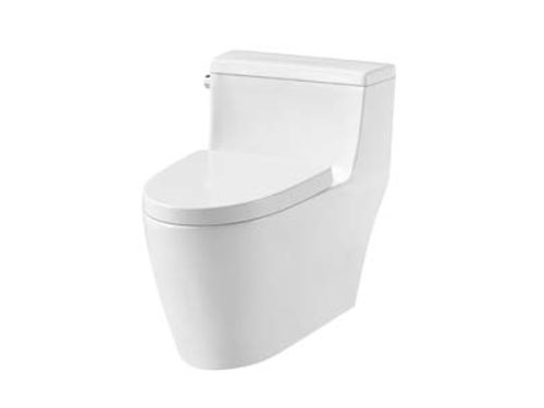 Bồn Cầu 1 Khối Iconic Hafele 588.79.401