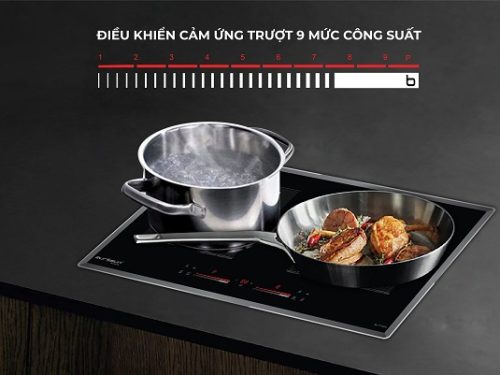 Điều khiển của bếp từ Eurosun EU-T256Pro