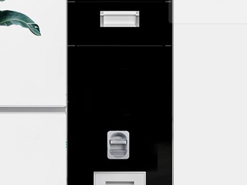 Thùng gạo kính đen/thùng inox 304 Inoxen RBK304-30BL