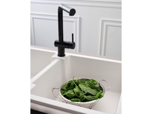 Ảnh thực tế của vòi rửa bát nóng lạnh Reginox CEDAR HMH.R31643