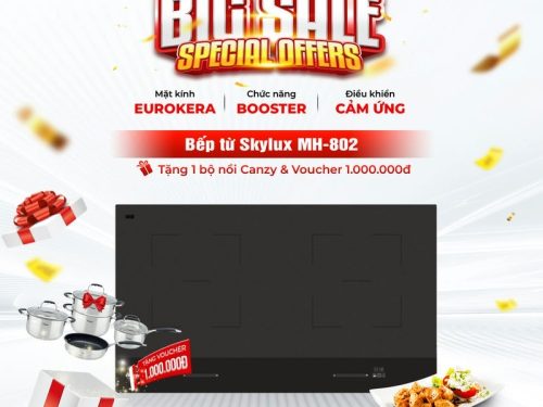 Bếp từ đôi Malloca Skylux MH-802 lắp âm