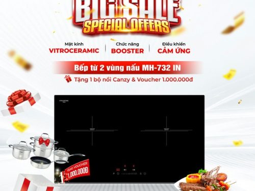 Bếp từ Malloca 2 vùng nấu MH-732 IN lắp âm