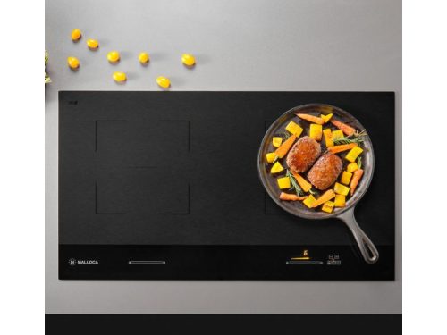 Ảnh thực tế của bếp từ đôi Malloca Skylux MH-802 lắp âm
