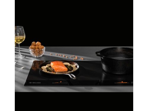 Ảnh thực tế của bếp từ đôi Malloca Skylux MH-802 lắp âm