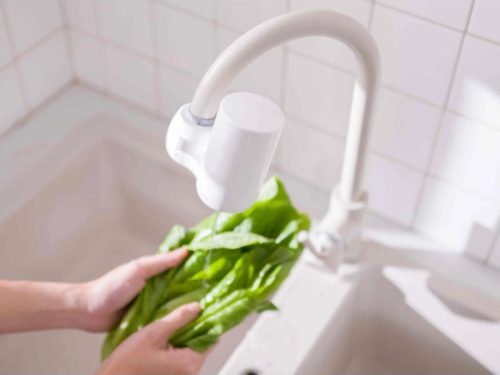 Ảnh thực tế bộ lọc thay thế Cleansui EFC41W