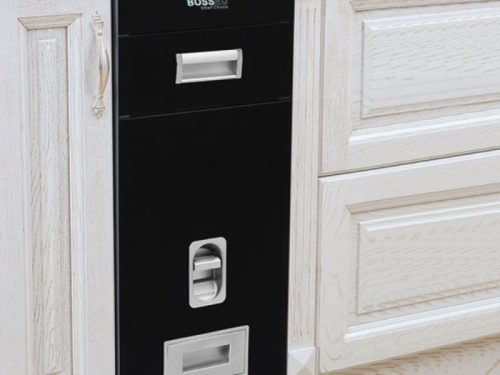 Ảnh thực tế thùng gạo gương nút nhấn BossEU BS250 Black