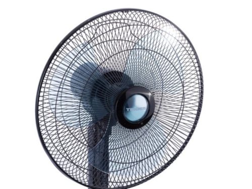 Hình ảnh quạt cây Tiross TS9183