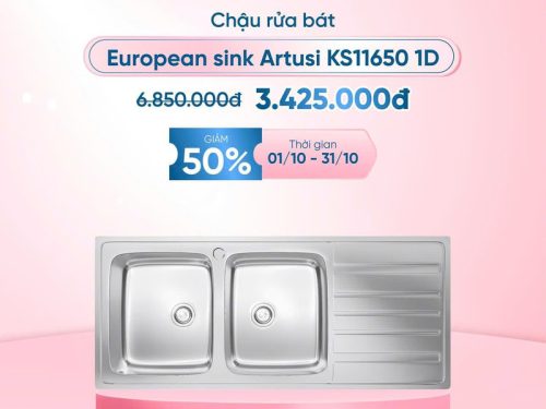 Khuyến mãi chậu rửa chén bát Konox Artusi KS11650 1D Bàn phải