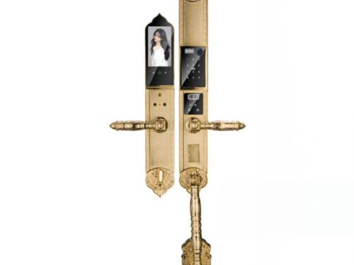 Khóa điện tử Hyundai HY-SLC8818 GOLD