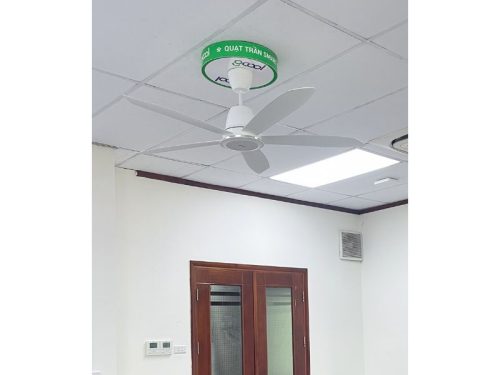 anh thuc te quat tran gcool copter 05 r vn011402502 trang