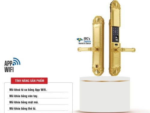 Khóa thông minh Faster FS039-1-24K