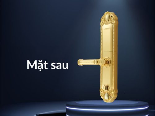 Khóa thông minh Faster FS039-1-24K 4 mat sau khoa thong minh faster fs039 1 24k