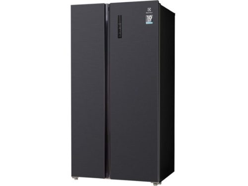 Tủ lạnh Electrolux ESE5401A-BVN