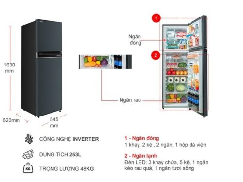 kich thuoc tu lanh 2 canh inverter 253 lit toshiba gr rt329we pmv52
