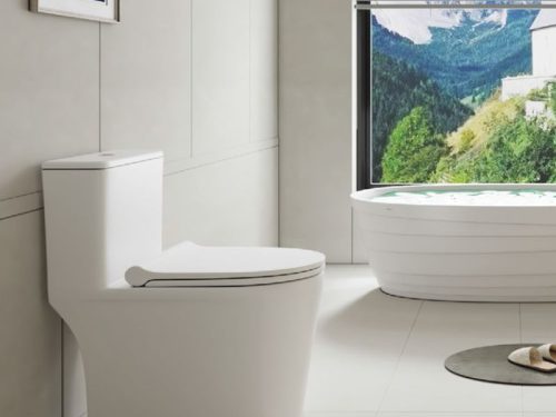 anh bon cau mot khoi kobe ii hafele 588 79 417